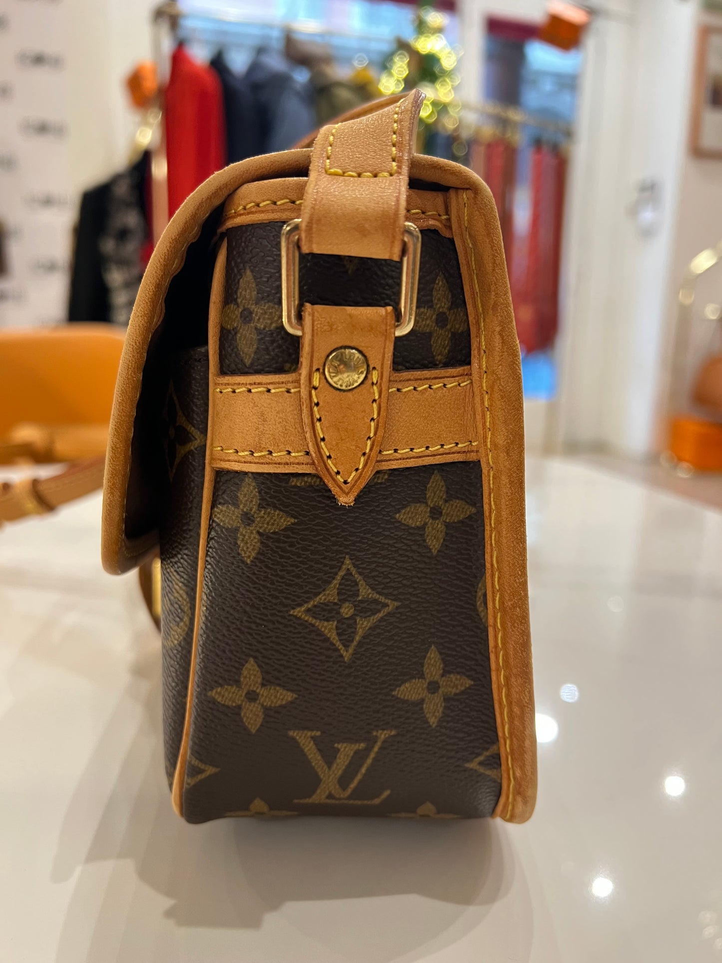 Louis Vuitton Sologne bag
