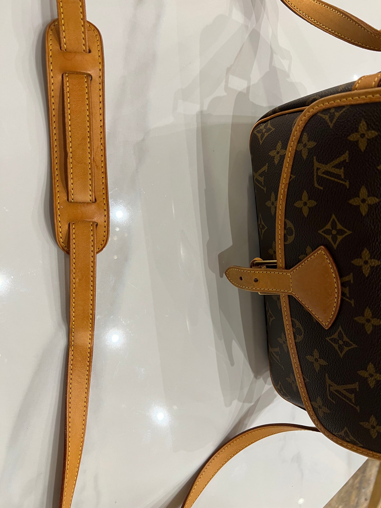 Louis Vuitton Sologne bag