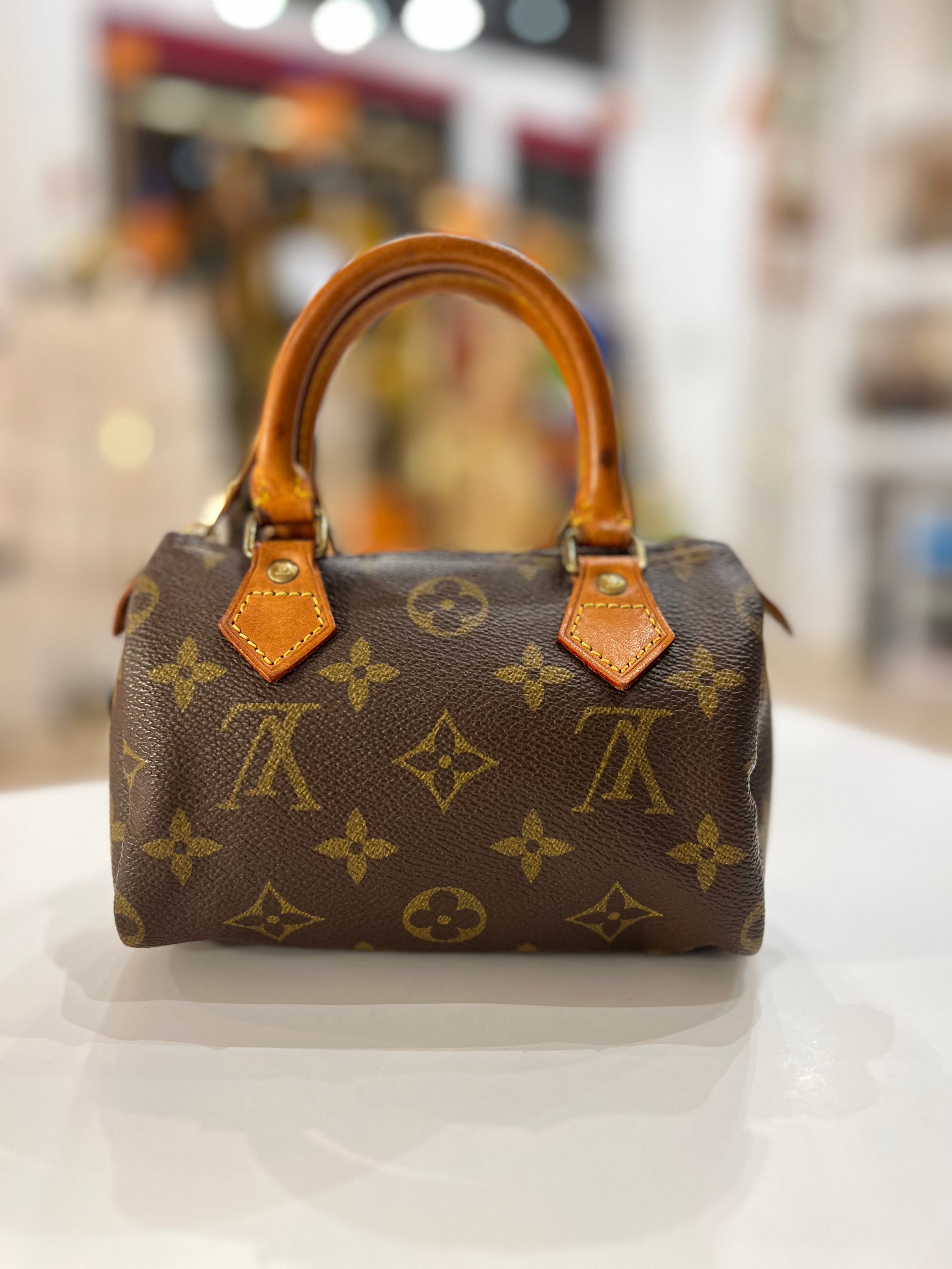 Louis vuitton speedy mini hl sale