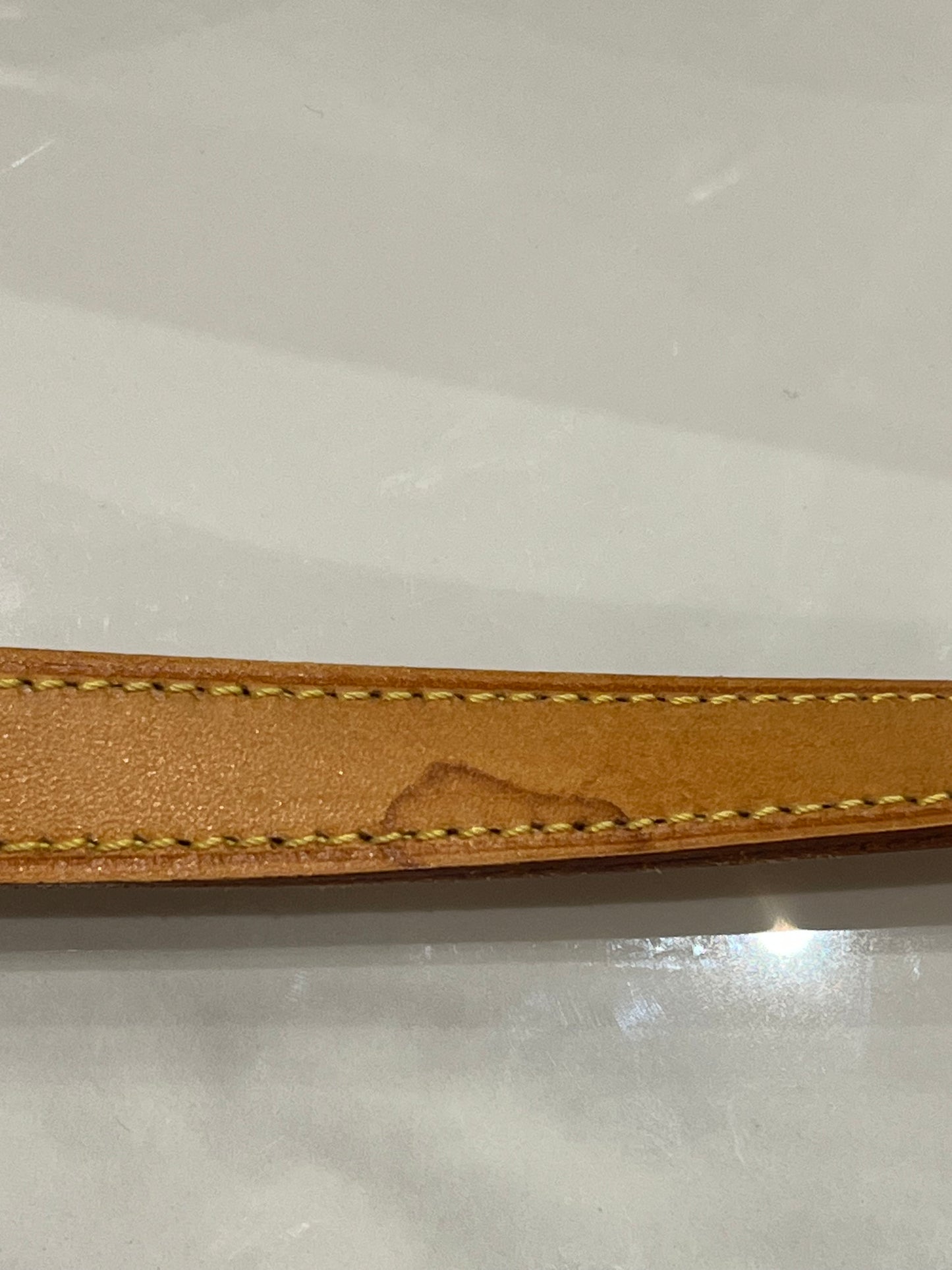 Louis Vuitton Sologne bag