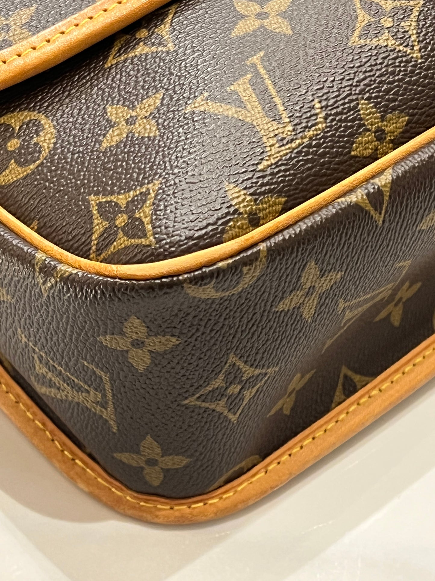 Louis Vuitton Sologne bag
