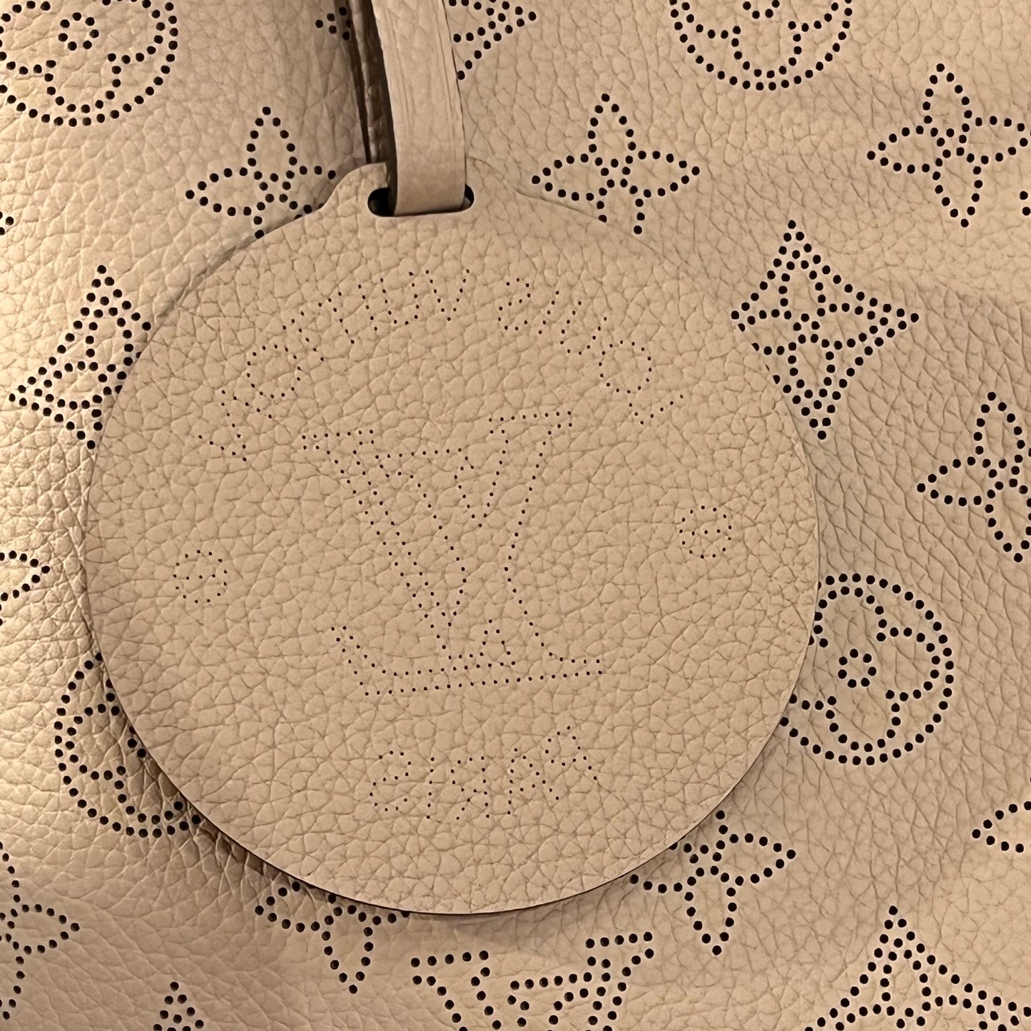 Louis Vuitton All Around Mahina MM bag