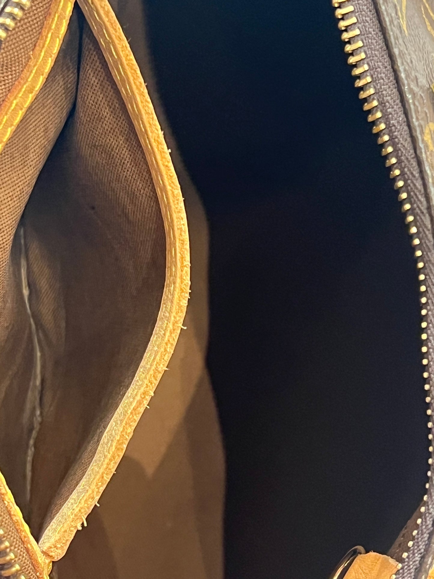 Borsa Louis Vuitton Speedy 25