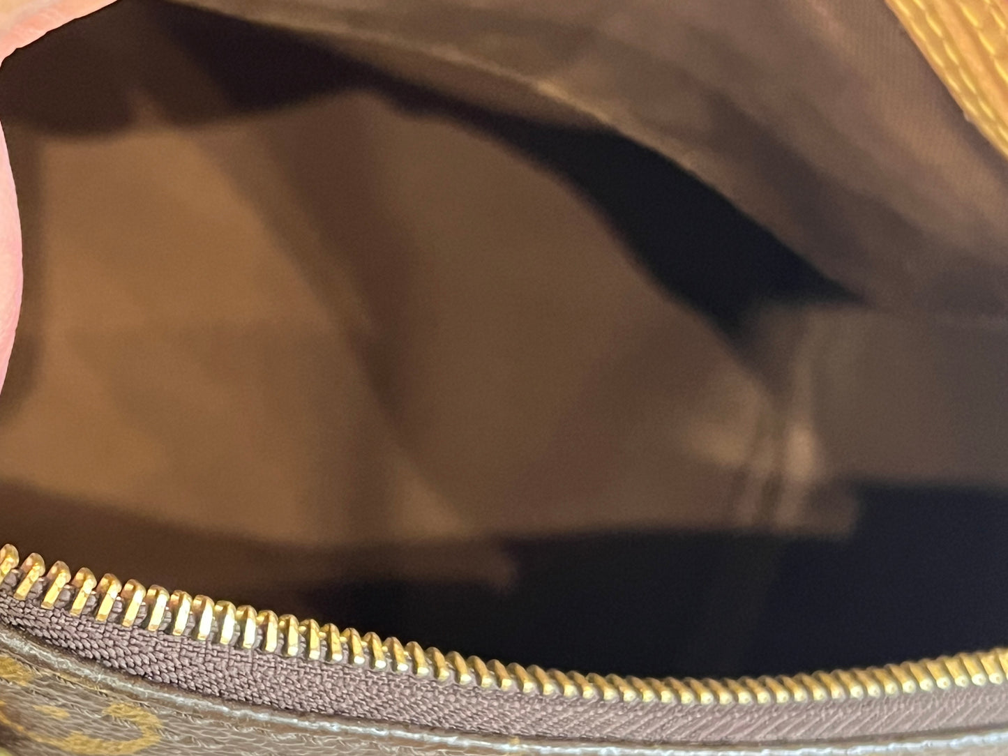 Borsa Louis Vuitton Speedy 25