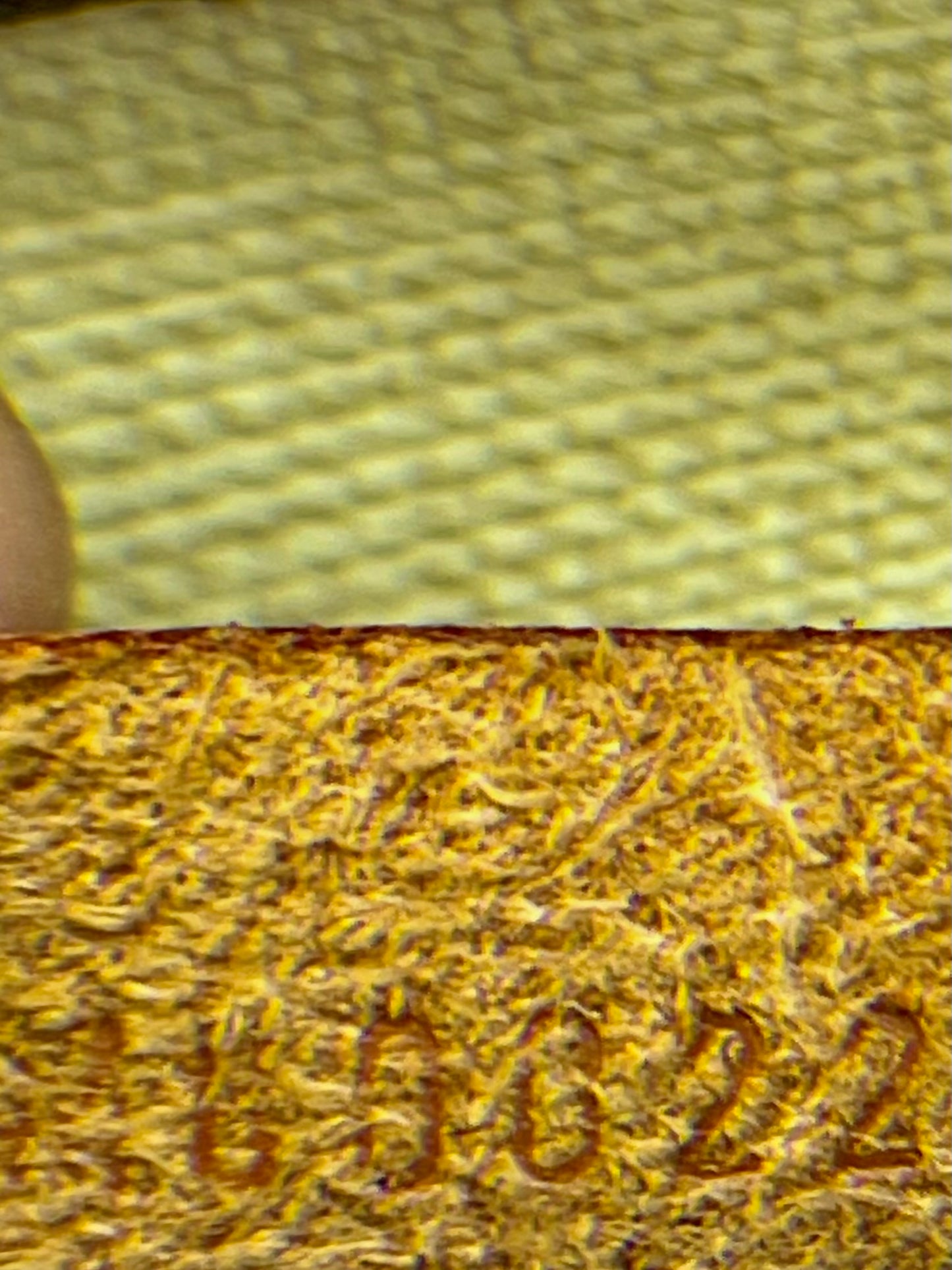 Louis Vuitton Deauville bag