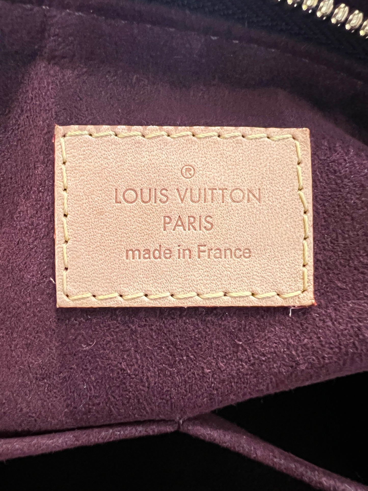 Louis Vuitton Flower Zipper Tote bag